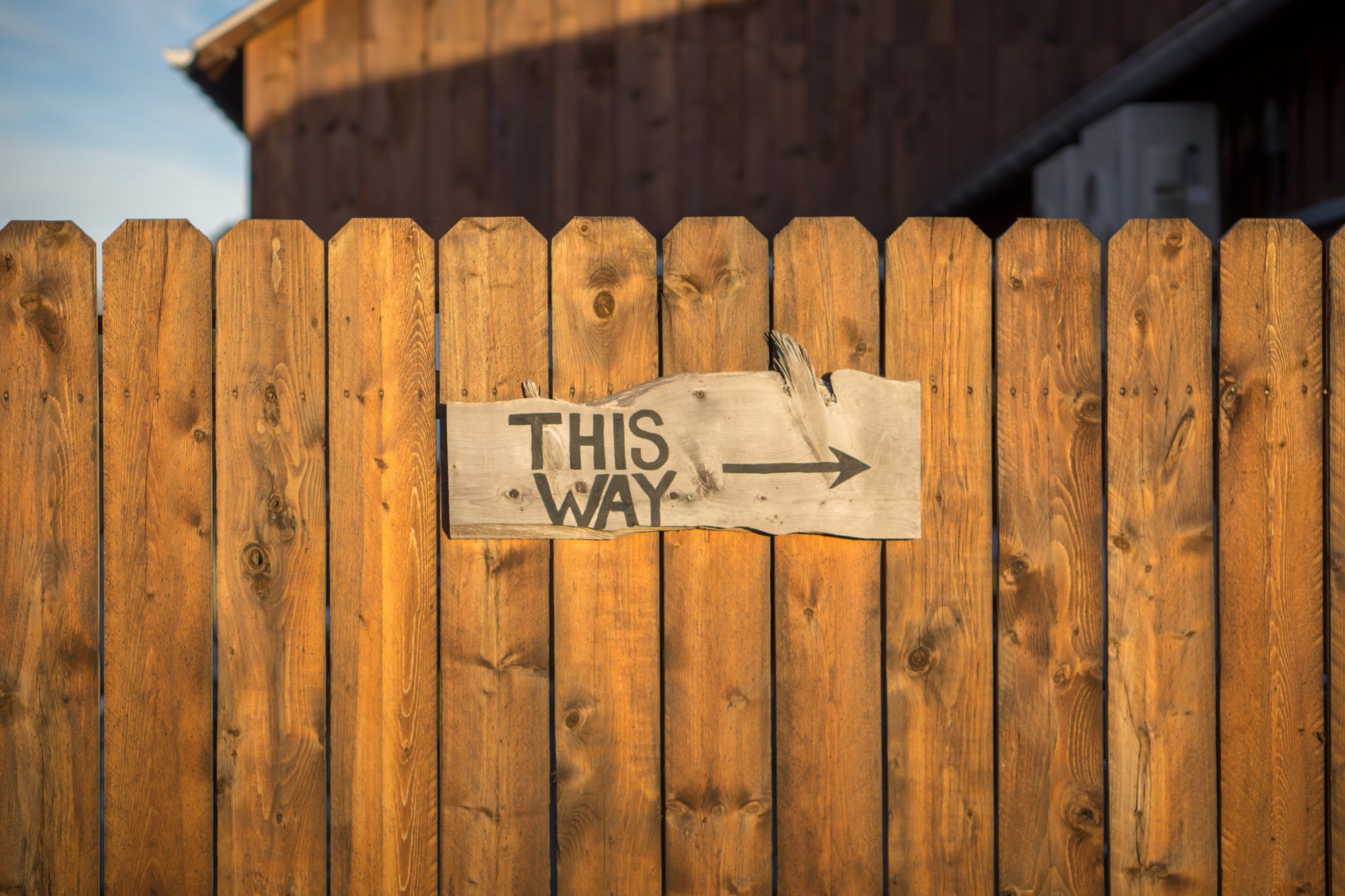 A wooden fence with a sign saying ‘This Way’ with a directional arrow.